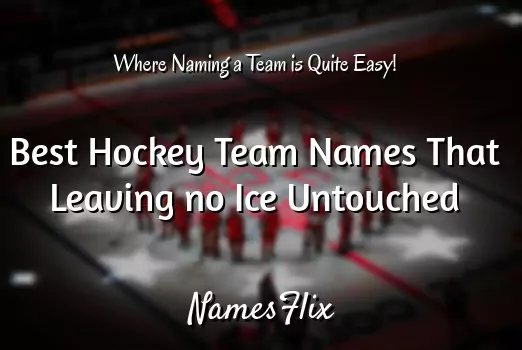 800+ Best Hockey Team Names That Leaving no Ice Untouched
