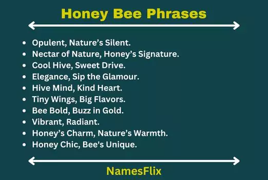 Honey Bee Phrases