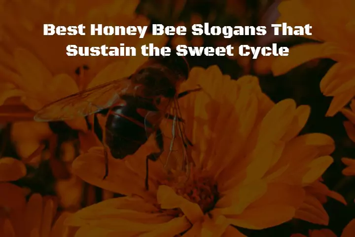 565+ Best Honey Bee Slogans That Sustain the Sweet Cycle