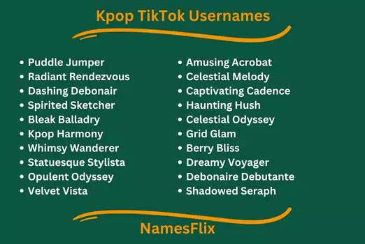 Kpop TikTok Usernames