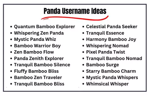 Panda Username Ideas