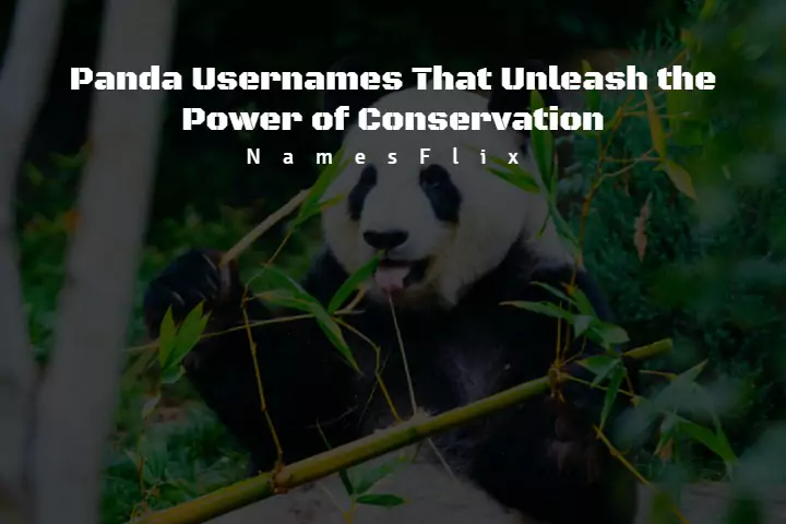 790+ Panda Usernames That Unleash the Power of Conservation