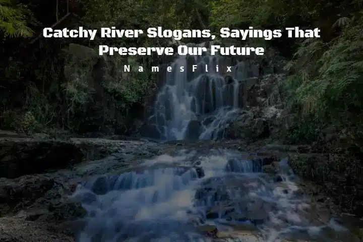 505+ Catchy River Slogans, Sayings That Preserve Our Future