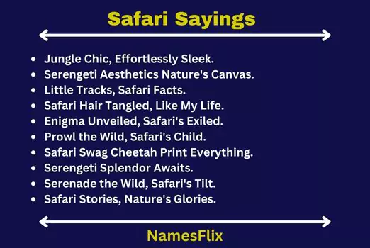 Safari Sayings