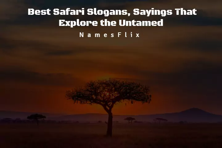 545+ Best Safari Slogans, Sayings That Explore the Untamed