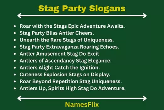 Stag Party Slogans