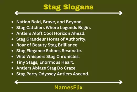 Stag Slogans