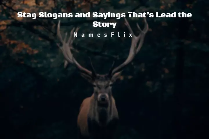 500+ Stag Slogans and Sayings That’s Lead the Story