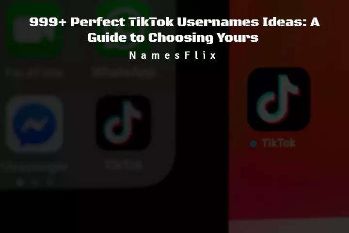 999+ Perfect TikTok Usernames Ideas: A Guide to Choosing Yours