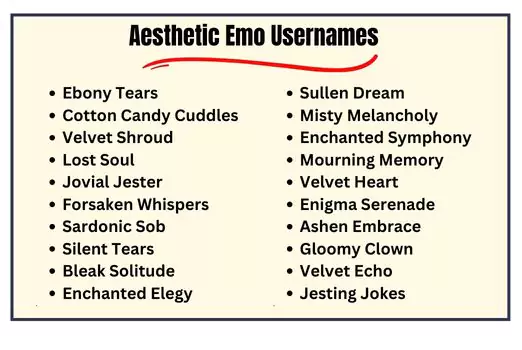 Aesthetic Emo Usernames