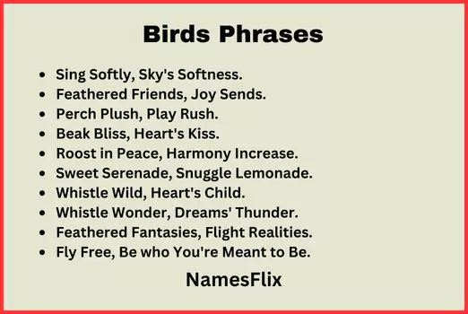 Birds Phrases