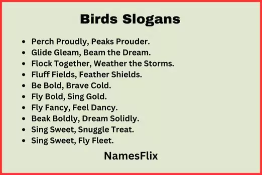 Birds Slogans