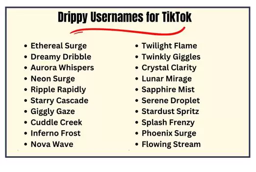 Drippy Usernames for TikTok
