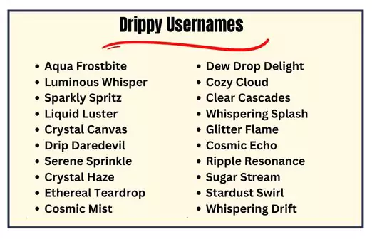 Drippy Usernames