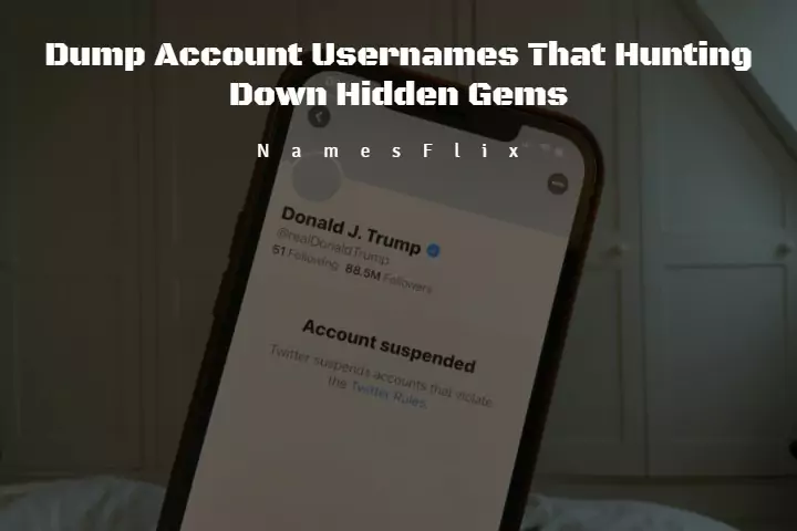 900+ Dump Account Usernames That Hunting Down Hidden Gems