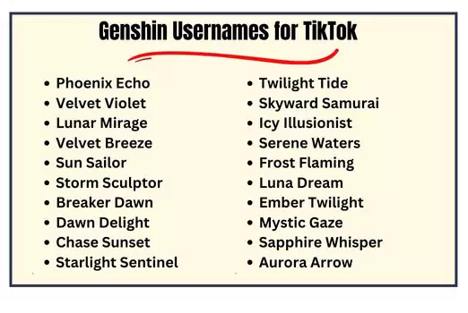 Genshin Usernames for TikTok