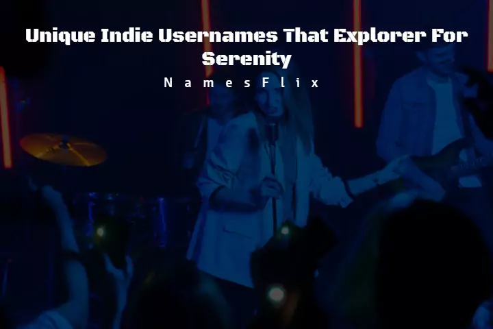 1100+ Unique Indie Usernames That Explorer For Serenity