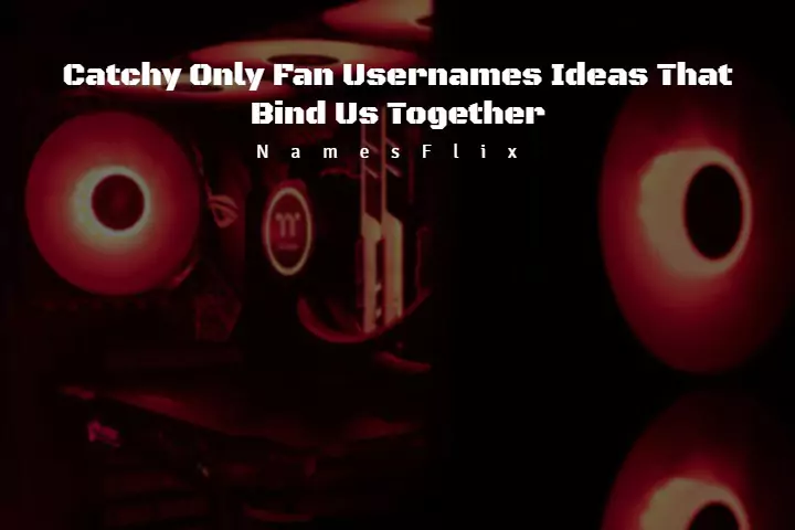 950+ Catchy Only Fan Usernames Ideas That Bind Us Together