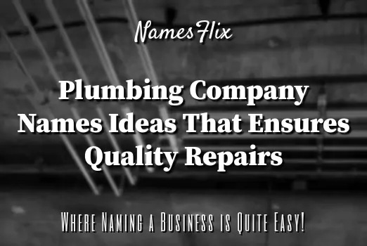 800+ Best Plumbing Company Names That Ensure Quality Repairs