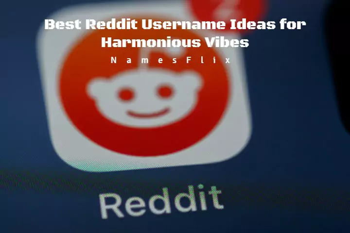 1000+ Best Reddit Usernames Ideas for Harmonious Vibes