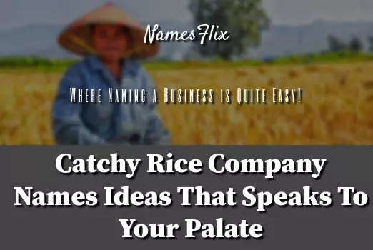 960+ Catchy Rice Company Names That Speak to Your Pallete