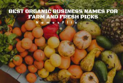 825+ Best Organic Business Names for Farm and Fresh Picks